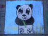 Chalk Art Contest Winner: Panda – Athena Ahn